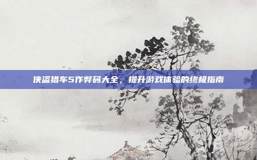 侠盗猎车5作弊码大全，提升游戏体验的终极指南