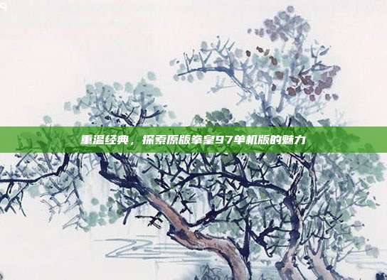重温经典,探索原版拳皇97单机版的魅力