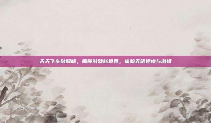 天天飞车破解版,解锁游戏新境界,体验无限速度与激情
