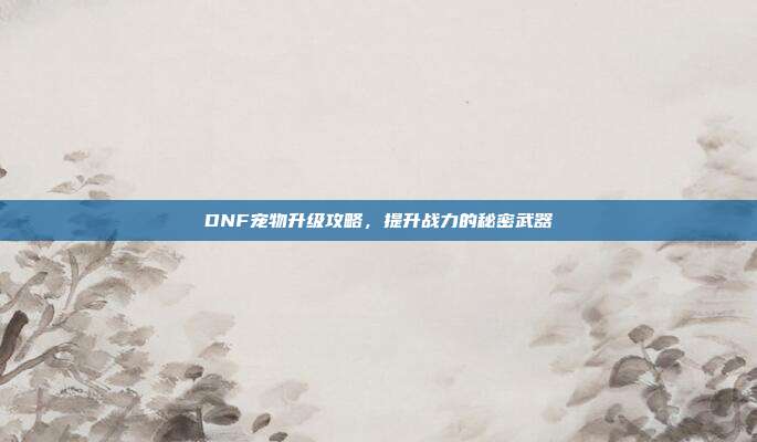 DNF宠物升级攻略,提升战力的秘密武器