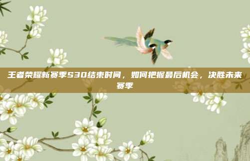 王者荣耀新赛季S30结束时间,如何把握最后机会,决胜未来赛季