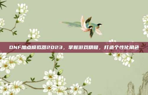 DNF加点模拟器2023,掌握游戏精髓,打造个性化角色