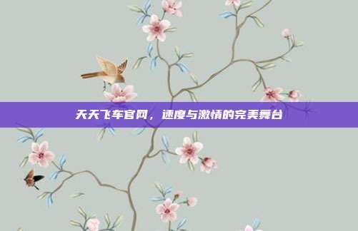 天天飞车官网,速度与激情的完美舞台