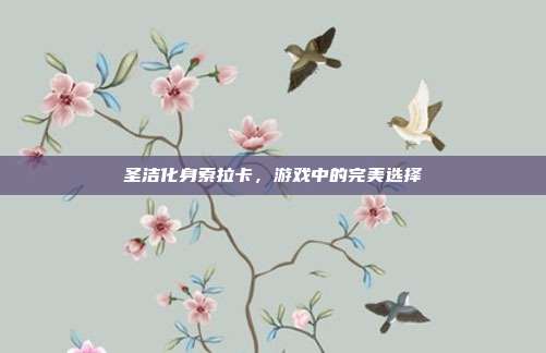圣洁化身索拉卡,游戏中的完美选择
