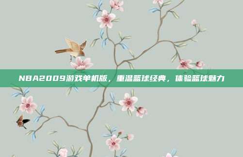 NBA2009游戏单机版,重温篮球经典,体验篮球魅力