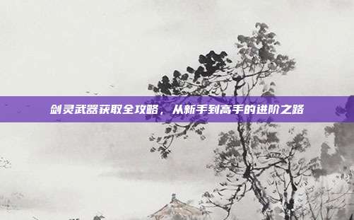 剑灵武器获取全攻略,从新手到高手的进阶之路