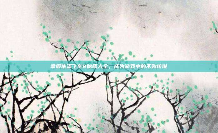 掌握侠盗飞车2秘籍大全,成为游戏中的不败传说