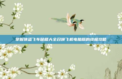 掌握侠盗飞车秘籍大全召唤飞机电脑版的终极攻略