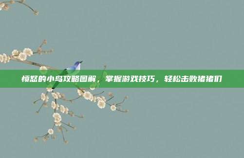 愤怒的小鸟攻略图解,掌握游戏技巧,轻松击败猪猪们