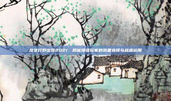 龙女打野出装2021,揭秘顶级玩家的装备选择与战术运用
