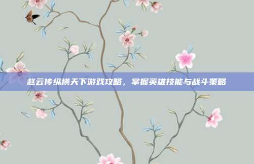 赵云传纵横天下游戏攻略,掌握英雄技能与战斗策略