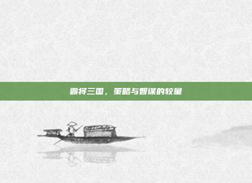 霸将三国,策略与智谋的较量