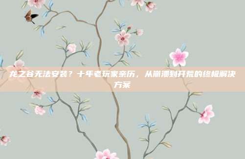 龙之谷无法安装？十年老玩家亲历，从崩溃到开荒的终极解决方案