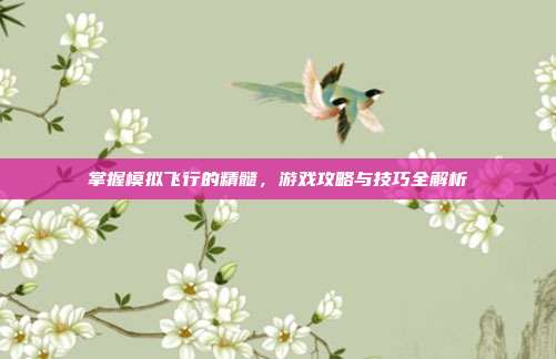 掌握模拟飞行的精髓,游戏攻略与技巧全解析