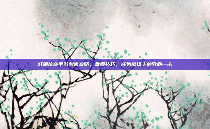 轩辕传奇手游刺客攻略,掌握技巧,成为战场上的致命一击