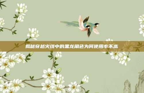揭秘穿越火线中的黑龙角色为何使用率不高