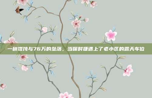 一碗馄饨与76万的坠落，当保时捷遇上了老小区的露天车位