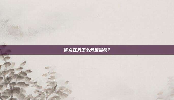 御龙在天怎么升级最快?