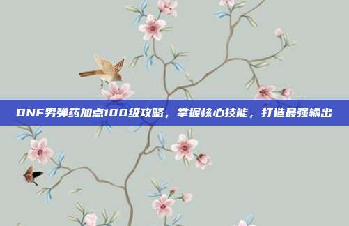 DNF男弹药加点100级攻略,掌握核心技能,打造最强输出