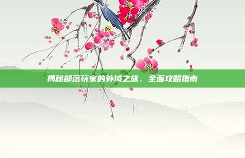 揭秘部落玩家的外域之旅,全面攻略指南