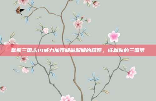 掌握三国志14威力加强版破解版的精髓,成就你的三国梦