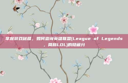 掌握游戏秘籍,如何查询英雄联盟(League of Legends,简称LOL)的隐藏分