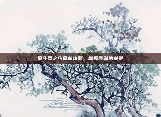 星斗盘之约最新攻略,掌握胜利的关键