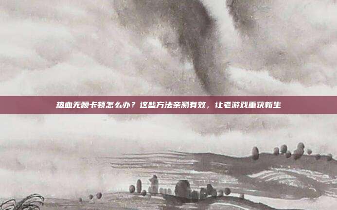 热血无赖卡顿怎么办？这些方法亲测有效，让老游戏重获新生