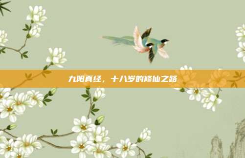 九阳真经，十八岁的修仙之路