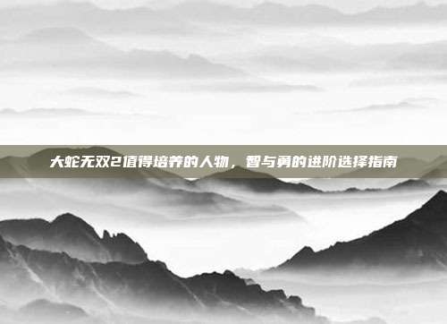 大蛇无双2值得培养的人物，智与勇的进阶选择指南