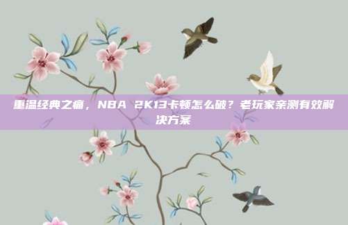 重温经典之痛，NBA 2K13卡顿怎么破？老玩家亲测有效解决方案