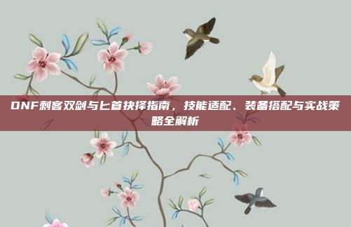 DNF刺客双剑与匕首抉择指南,技能适配、装备搭配与实战策略全解析