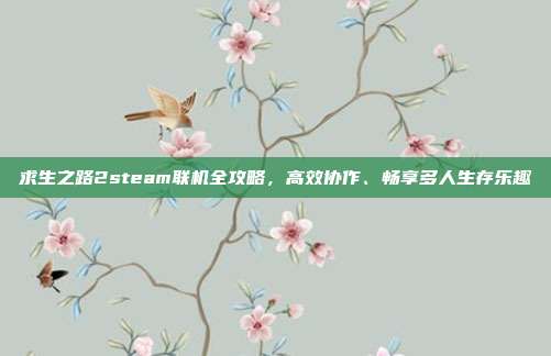 求生之路2steam联机全攻略,高效协作、畅享多人生存乐趣