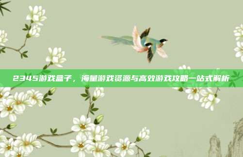 2345游戏盒子,海量游戏资源与高效游戏攻略一站式解析