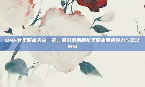 DNF女圣职者天空一览,多维视角解析圣职者角色魅力与玩法突破