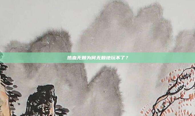 热血无赖为何无赖地玩不了？