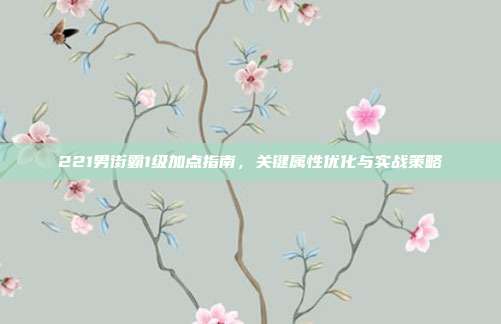 221男街霸1级加点指南,关键属性优化与实战策略