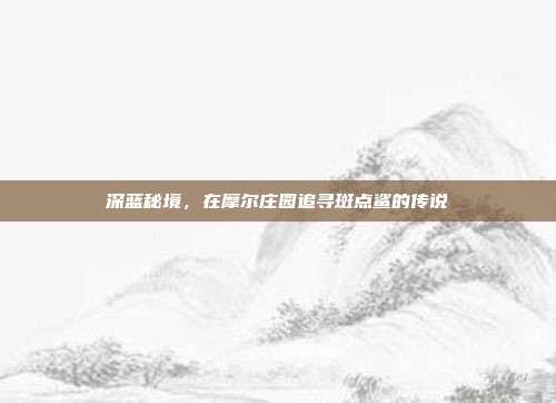 深蓝秘境，在摩尔庄园追寻斑点鲨的传说