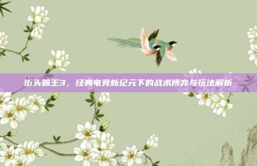 街头霸王3,经典电竞新纪元下的战术博弈与玩法解析