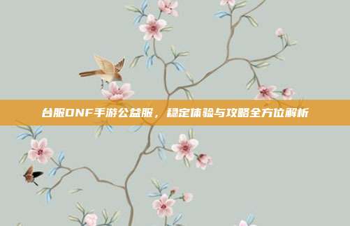 台服DNF手游公益服，稳定体验与攻略全方位解析