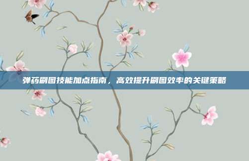 弹药刷图技能加点指南,高效提升刷图效率的关键策略