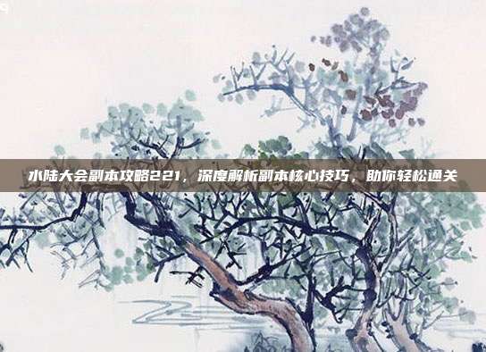 水陆大会副本攻略221，深度解析副本核心技巧，助你轻松通关