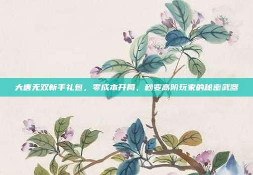 大唐无双新手礼包，零成本开局，秒变高阶玩家的秘密武器