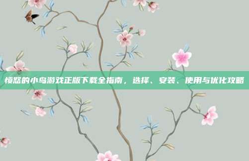 愤怒的小鸟游戏正版下载全指南,选择、安装、使用与优化攻略