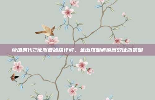 帝国时代2征服者秘籍详解,全面攻略解锁高效征服策略