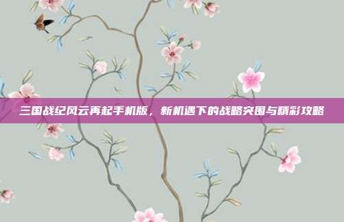 三国战纪风云再起手机版,新机遇下的战略突围与精彩攻略