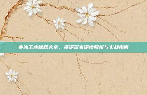 寒冰王座秘籍大全,资深玩家深度解析与实战指南