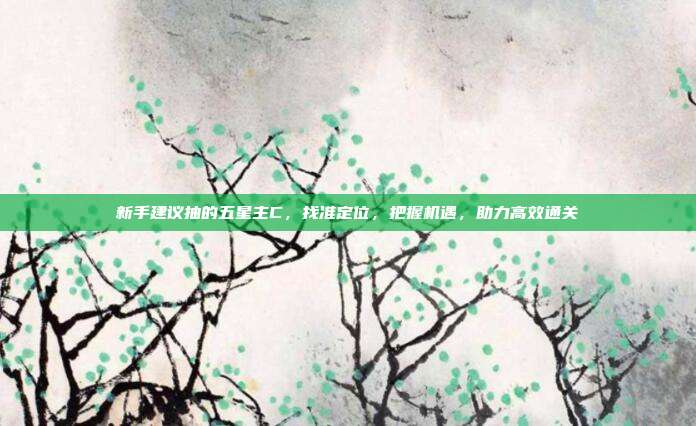 新手建议抽的五星主C,找准定位,把握机遇,助力高效通关