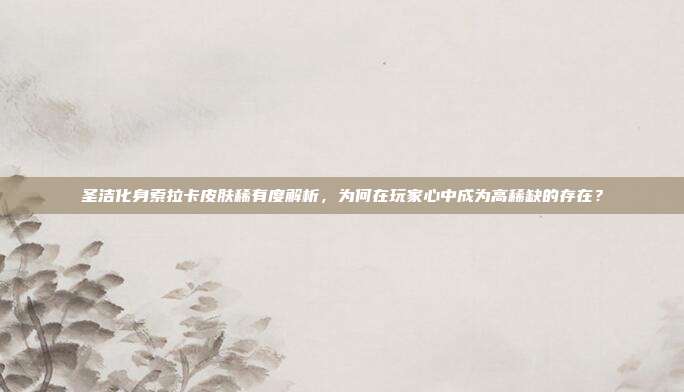圣洁化身索拉卡皮肤稀有度解析,为何在玩家心中成为高稀缺的存在?