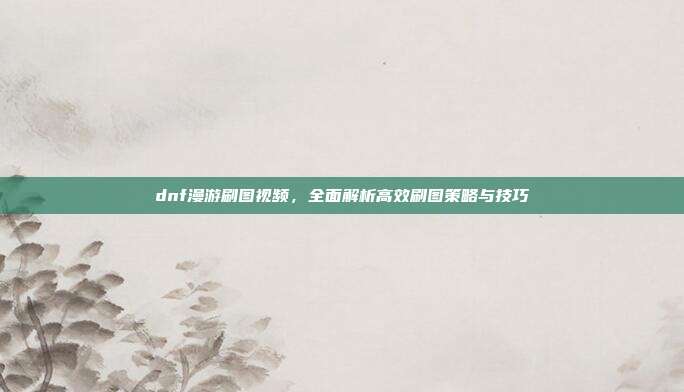 dnf漫游刷图视频,全面解析高效刷图策略与技巧